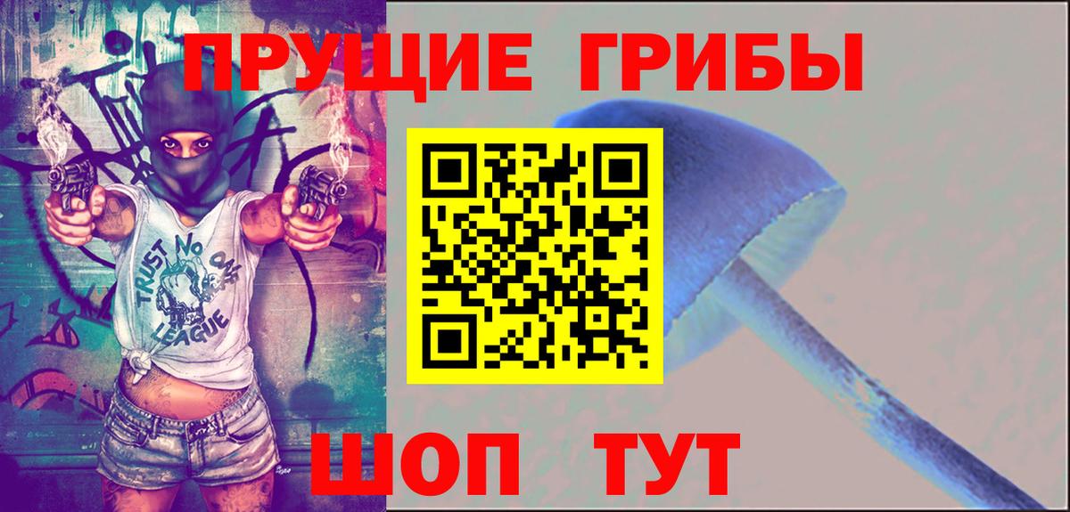 где найти наркотики  Псилоцибиновые грибы Magic Shrooms  Вход с VPN  Балтийск 